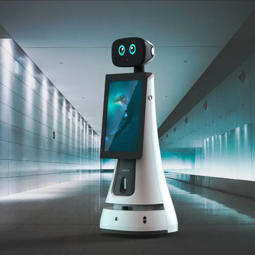 Aldebaran Robotics NAO6 Humanoid Robot — professional product photo